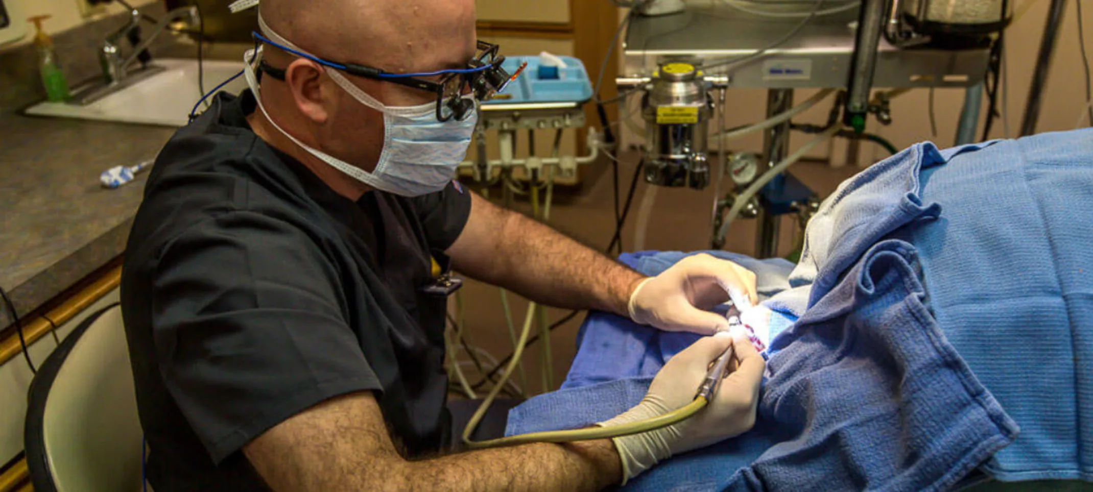 Veterinarian performing surgery on a patient